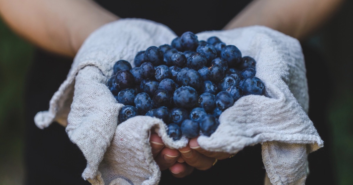 Blueberries
